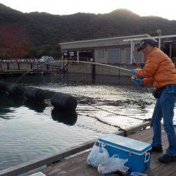 淡路じゃのひれフィッシングパーク 釣果