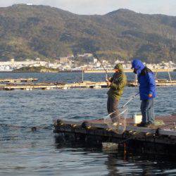 淡路じゃのひれフィッシングパーク 釣果