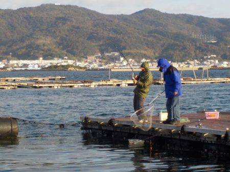 淡路じゃのひれフィッシングパーク 釣果