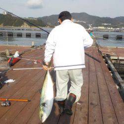 淡路じゃのひれフィッシングパーク 釣果