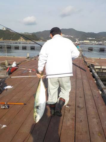 淡路じゃのひれフィッシングパーク 釣果