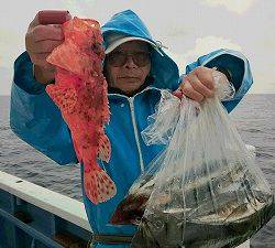 しまや丸 釣果