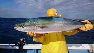 しまや丸 釣果