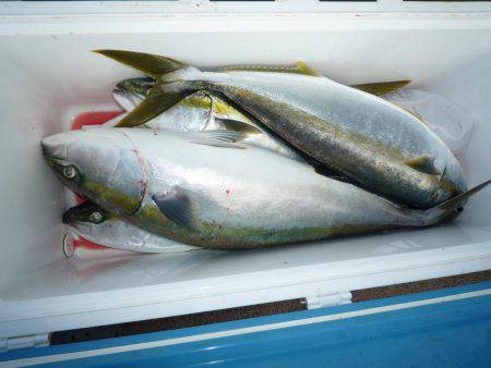 浅間丸 釣果