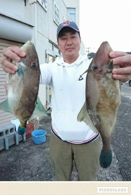 桑田観光 釣果