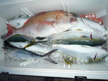 浅間丸 釣果