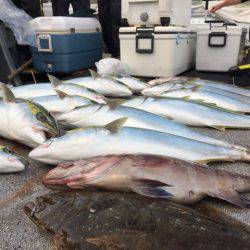 幸風（さちかぜ） 釣果