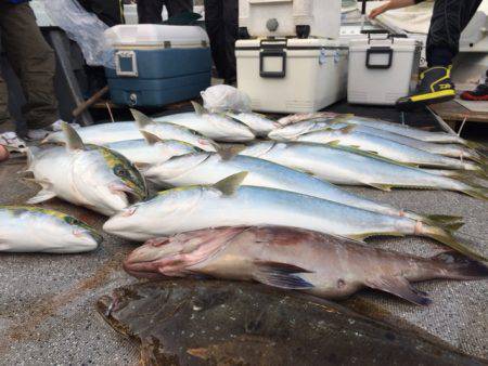 幸風（さちかぜ） 釣果