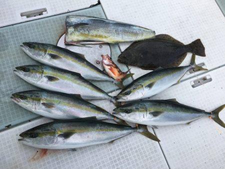 ふじしめ丸 釣果