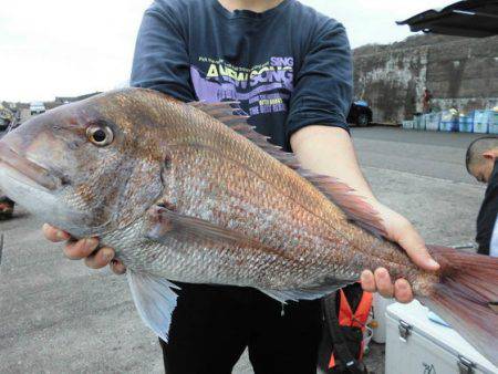 大進丸（新潟） 釣果