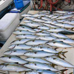 宝生丸 釣果