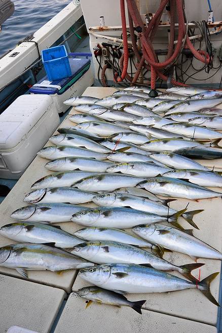 宝生丸 釣果