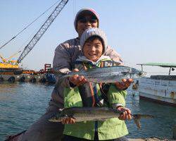 魚英 釣果