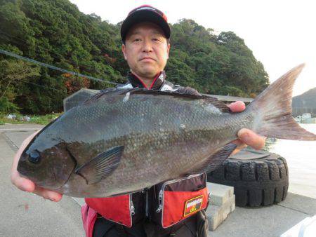 千津丸 釣果