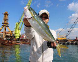 魚英 釣果