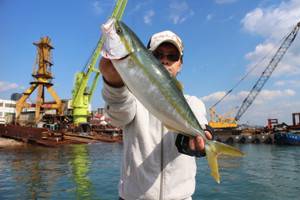 魚英 釣果