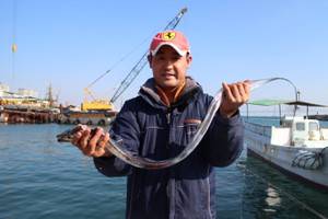 魚英 釣果