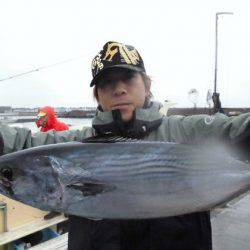 大進丸（新潟） 釣果