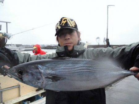 大進丸（新潟） 釣果