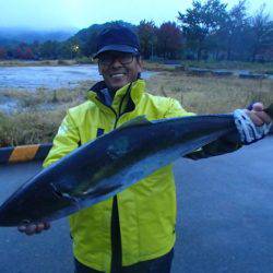 清和丸 釣果