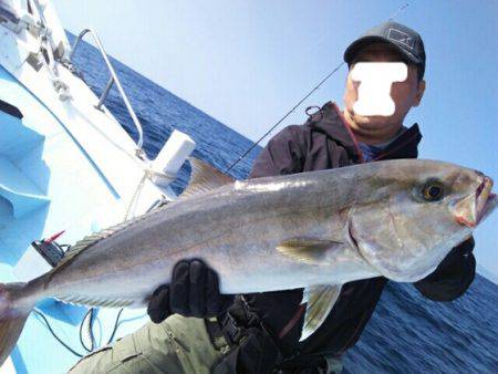 海晴丸 釣果