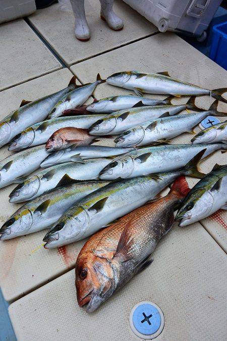 宝生丸 釣果