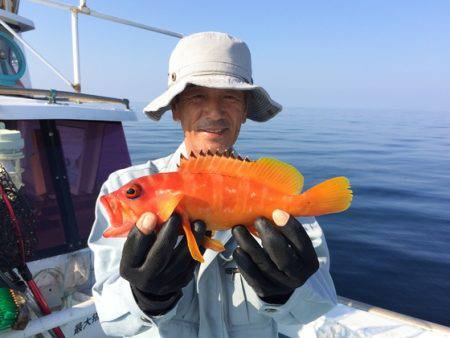 金太郎 釣果