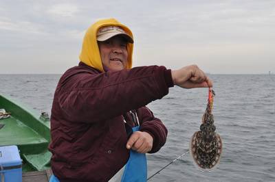 根岸丸 釣果