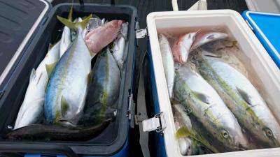 はじめ丸 釣果