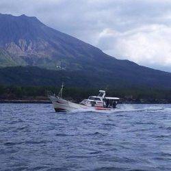 海琉 釣果