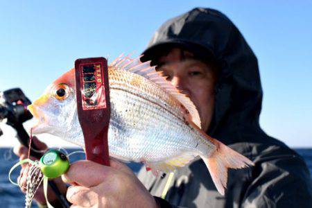 渡船屋たにぐち 釣果