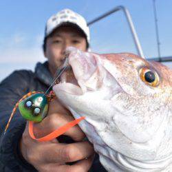 渡船屋たにぐち 釣果