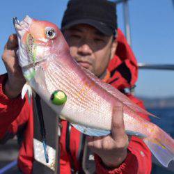 渡船屋たにぐち 釣果