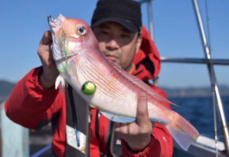 渡船屋たにぐち 釣果