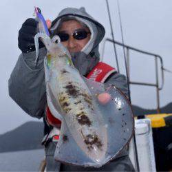 渡船屋たにぐち 釣果