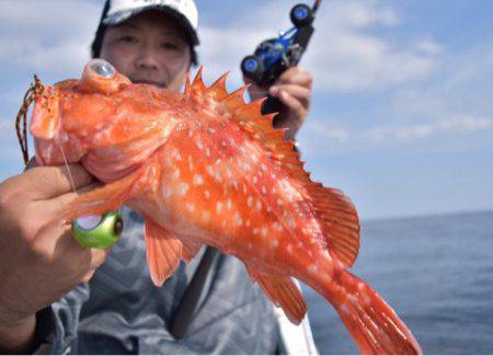 渡船屋たにぐち 釣果