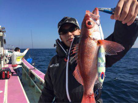 ぽん助丸 釣果