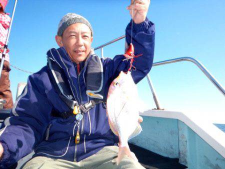 渡船屋たにぐち 釣果