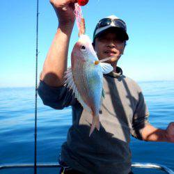 渡船屋たにぐち 釣果