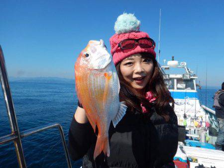 渡船屋たにぐち 釣果