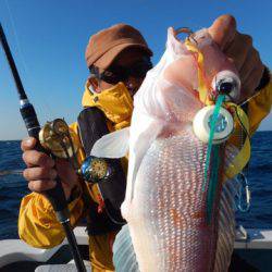 渡船屋たにぐち 釣果