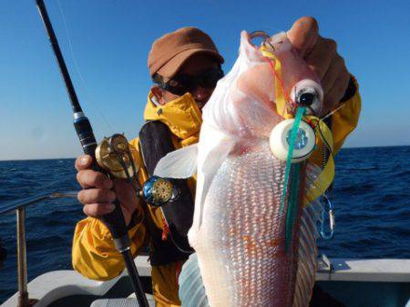 渡船屋たにぐち 釣果