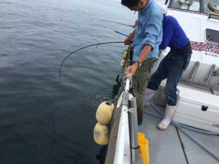 釣鯛洋 釣果