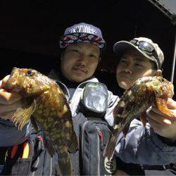 ヤザワ渡船 釣果