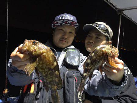 ヤザワ渡船 釣果