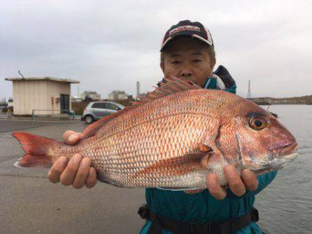 第二八坂丸 釣果