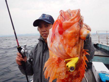 渡船屋たにぐち 釣果