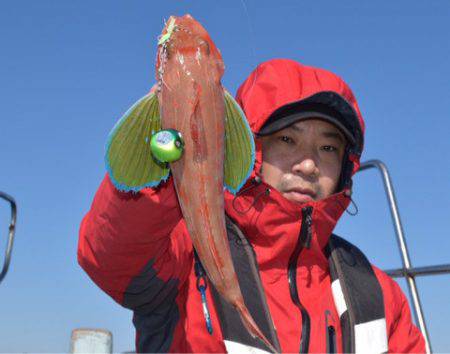 渡船屋たにぐち 釣果