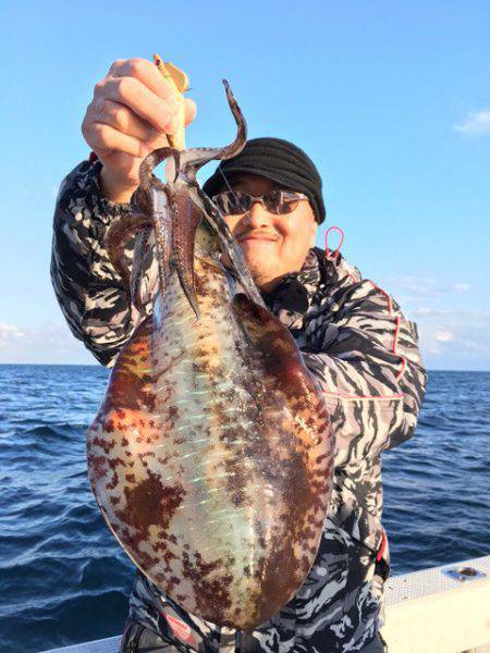 エヌスタイル 釣果