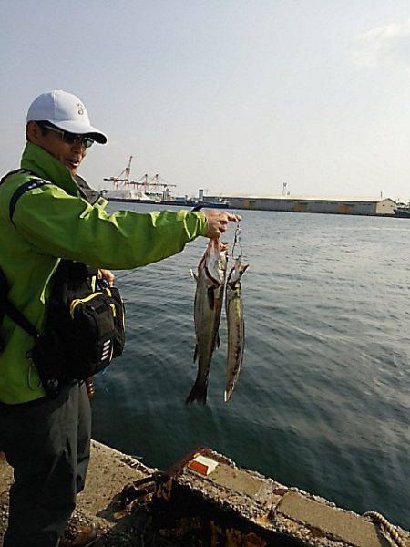 KO-SHIN丸 釣果